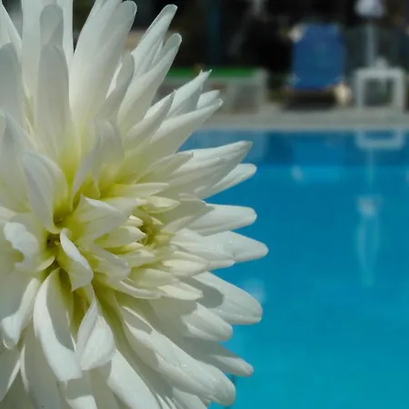 Tria Adelphia Arillas (Corfu)