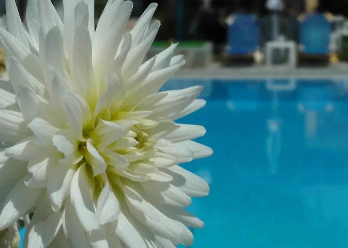 Tria Adelphia Arillas (Corfu)
